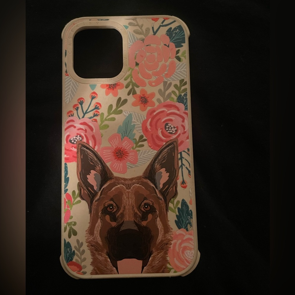 CASETIFY case 12 pro max